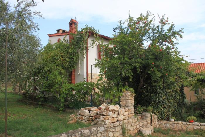 Apartments with parking space Ugljan - 8527