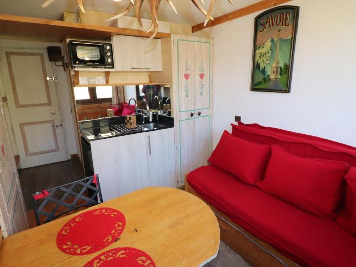 Studette pratique au pied des pistes - Animaux permis - FR-1-502-453