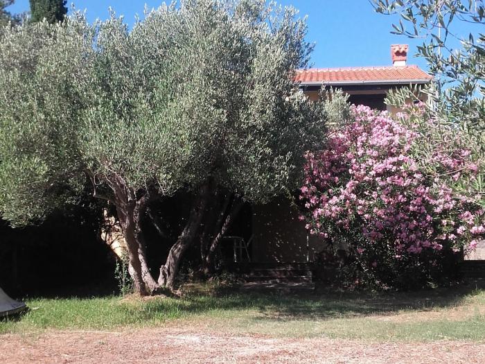 Apartments by the sea Cove Pogana, Cres - 14172