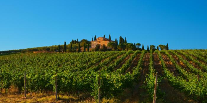 Agriturismo La Torre dellOliveto