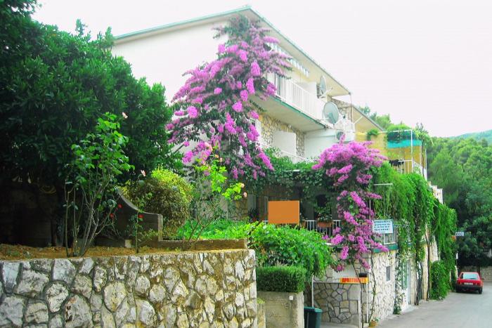 Apartments with a parking space Jelsa, Hvar - 4019