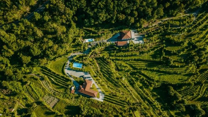 Casa da Adega - Quinta da Portela