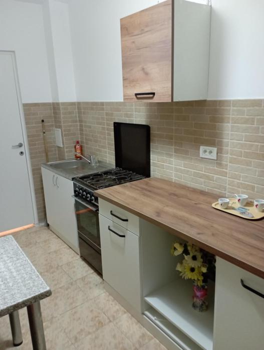 Apartament Băile Herculane cu vedere la munte
