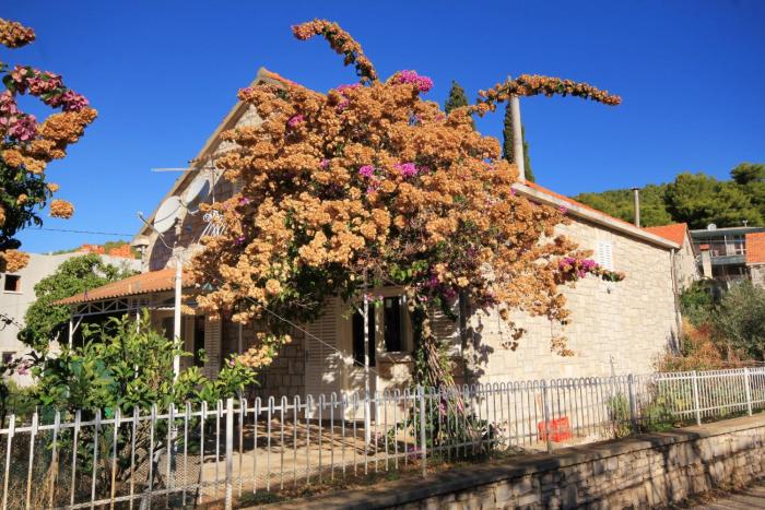 Seaside holiday house Brna, Korcula - 9235