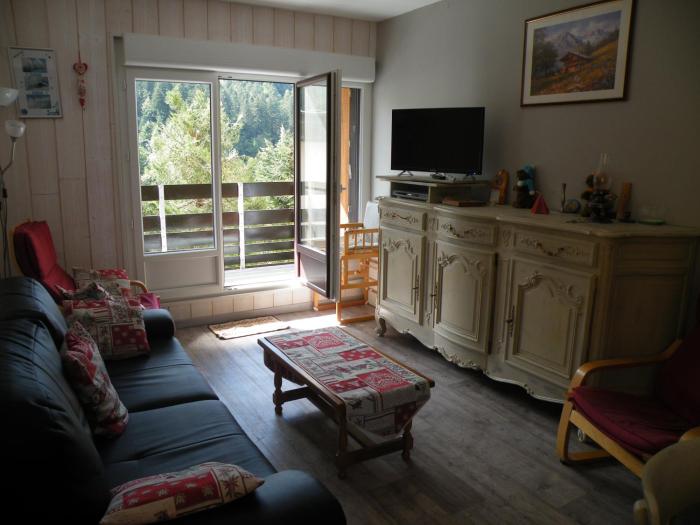 Appartement a la montagne ,vue sur les pistes