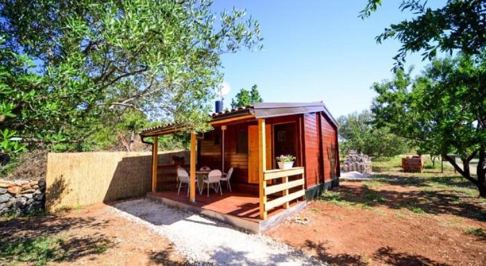 Seaside secluded apartments Biograd na Moru, Biograd - 12827