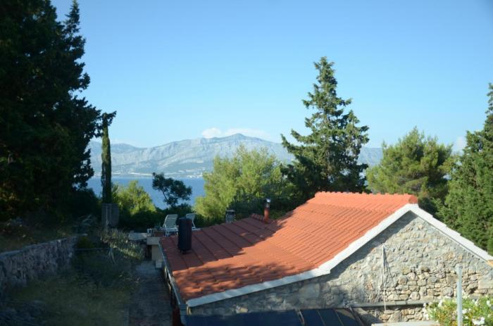 Secluded fishermans cottage Cove Vela Lozna, Brac - 13332