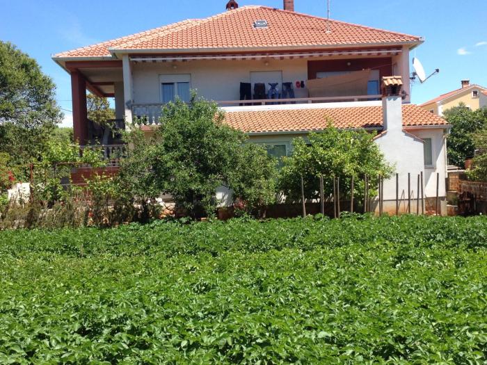 Apartments by the sea Muline, Ugljan - 12533