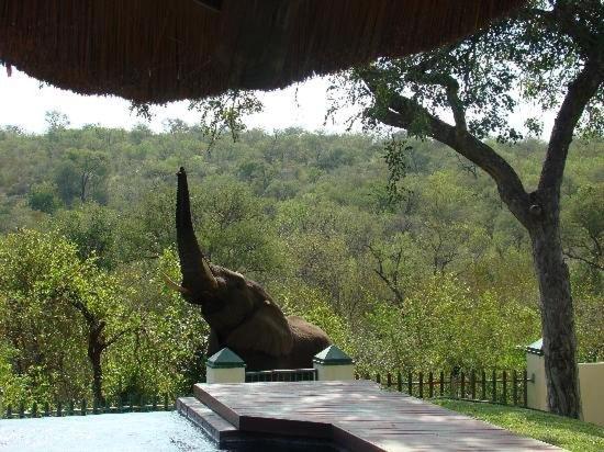 Muweti Bush Lodge