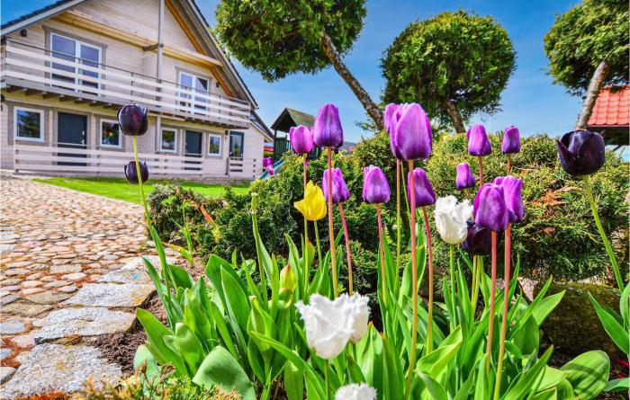 Gorgeous Home In Darlowo With Wifi
