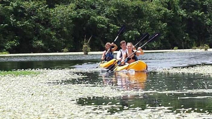 Mayan World Adventures Jungle Experience