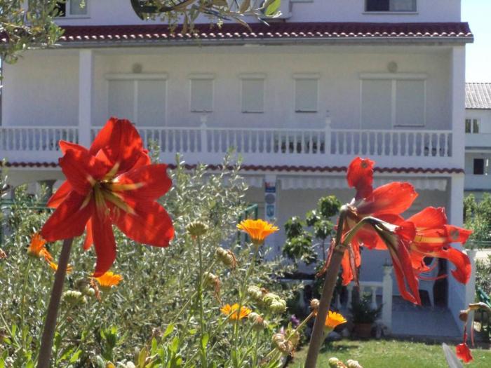 Rab Paradise Villa -3 Bedrooms 3 Bathrooms