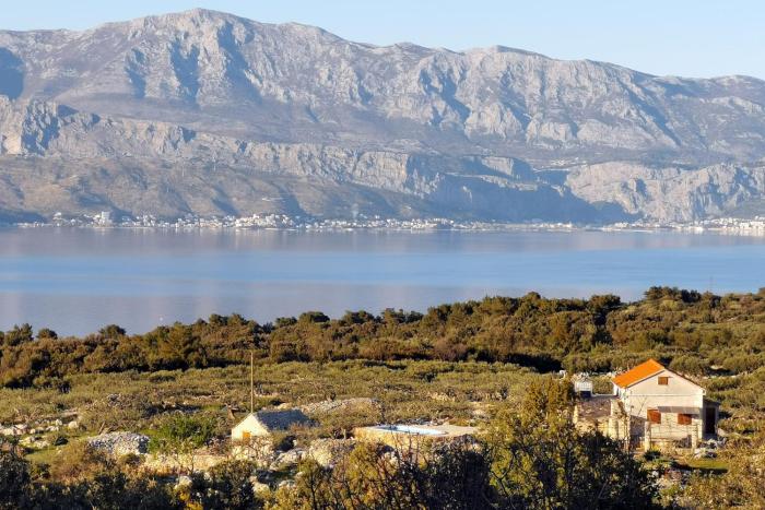 Family friendly house with a swimming pool Skrip, Brac - 15297