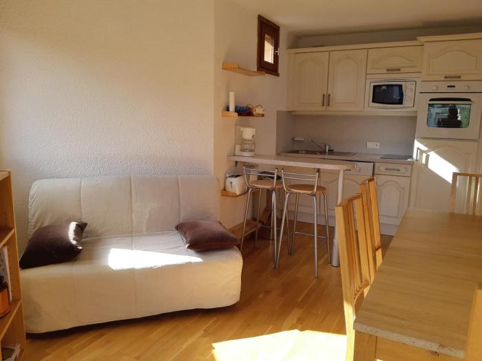 T2 confortable, au pied des pistes, 6 personnes, Les Deux Alpes - FR-1-516-182