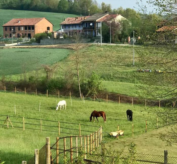 Appartamento in cascina -la cascinetta di Ali-