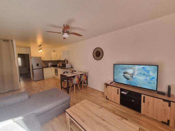 Appartement T2 45 M2 Meublé 3 étoiles tout confort hyper centre de Dax