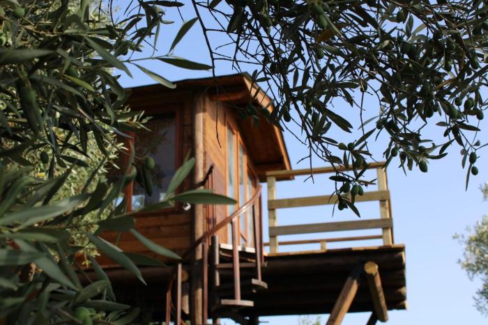 The Treehouse - Casa sullalbero al Golden Camp