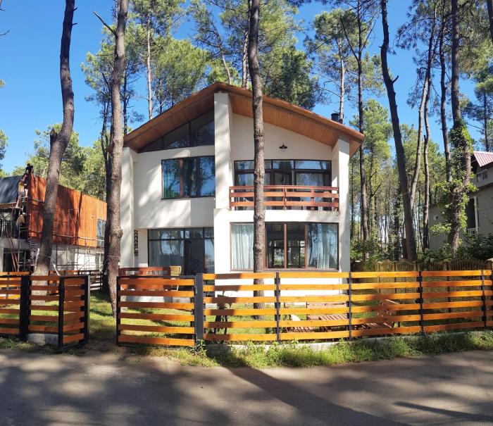 Beachfront 4-bedroom home in Kaprovani pine forest