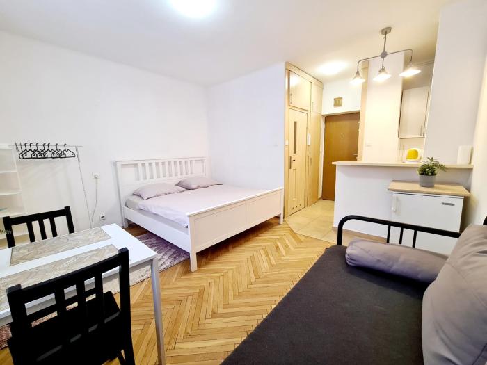 EAGLE HOUSE A COSY FLAT IN THE CITY COrla 623