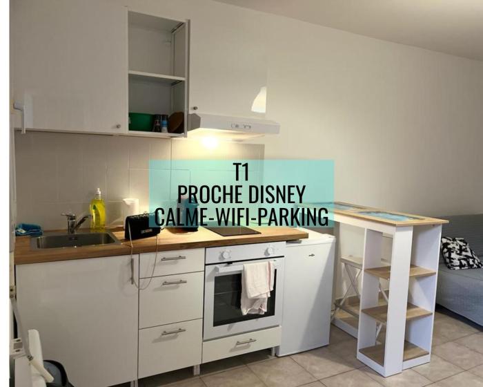 Superbe studio proche Disney