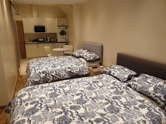 London Luxury 2 bed studio 4 mins from Ilford Stn - FREE parking, WiFi, garden access