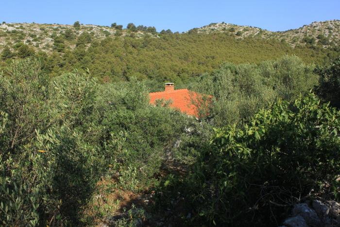 Secluded fishermans cottage Cove Magrovica - Telascica, Dugi otok - 8122