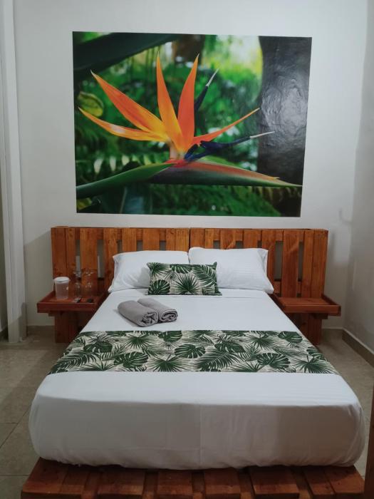 Hospedajes El Jardin