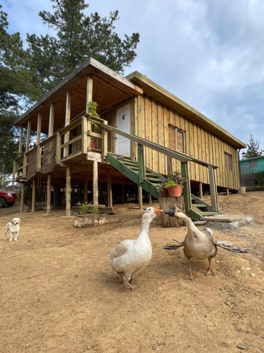 Cabaña los Gansos Playa Bosque Grill Wi-Fi TV