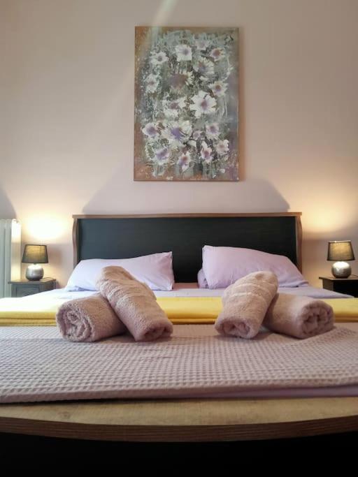 Urban comfort apartment.