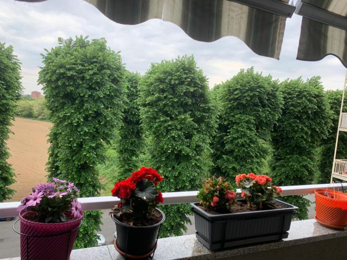 Room between Milan and Como