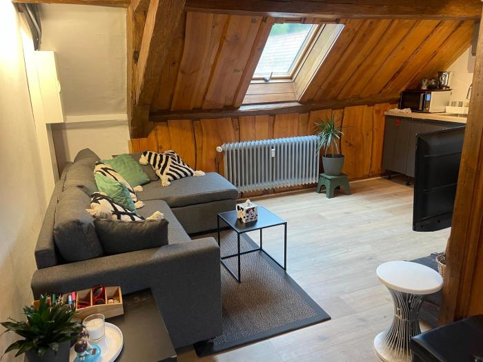 Le hohwald centre appartement 3 pieces # 201