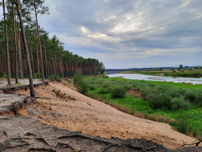 Samotnia nad Bugiem