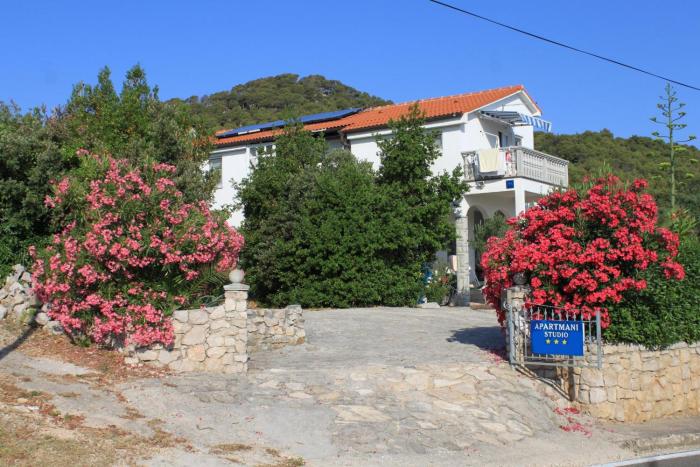 Apartments with a parking space Preko, Ugljan - 8224