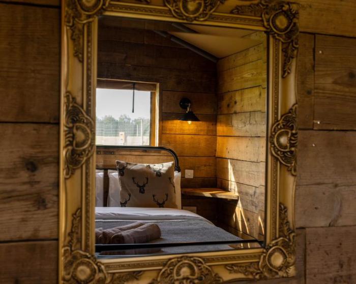 Luxury Safari Lodge-Sleeps 4 6-Deer Park-Dogs Ok