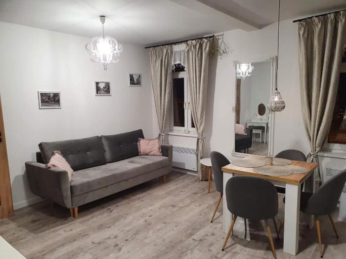 Apartament Kominkowy przy Parku