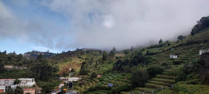 Kodai Breeze