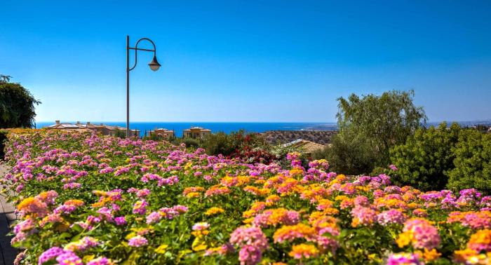 Ground floor Apartment Anthos with Beautiful Sea Views on Aphrodite Hills Resort