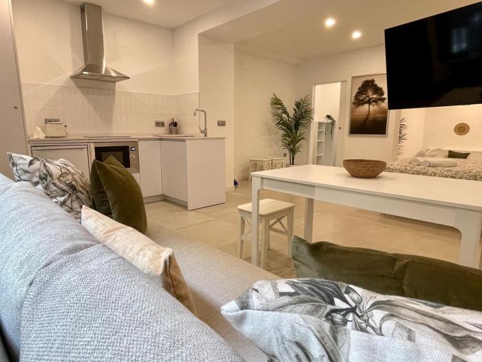 Apartamentos El Olivo