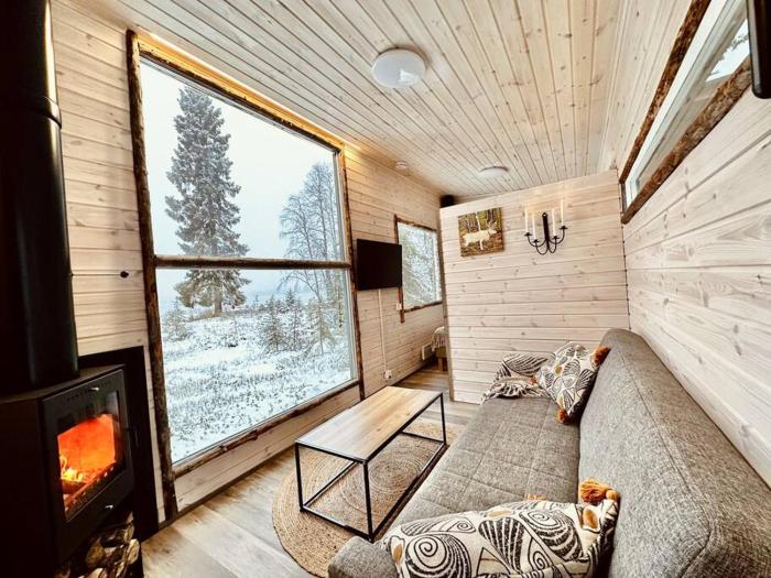 Unique Cabin with Breathtaking Northern Light View