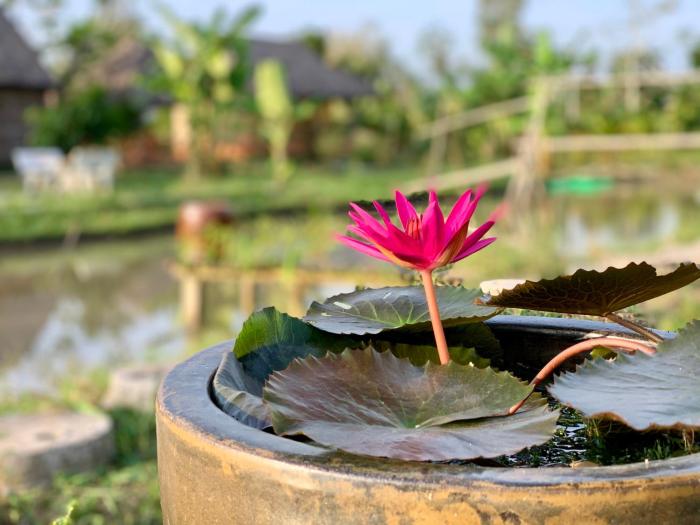 Discovery Mekong locals life - Breakfast TwoBoatTours Included for 2nights