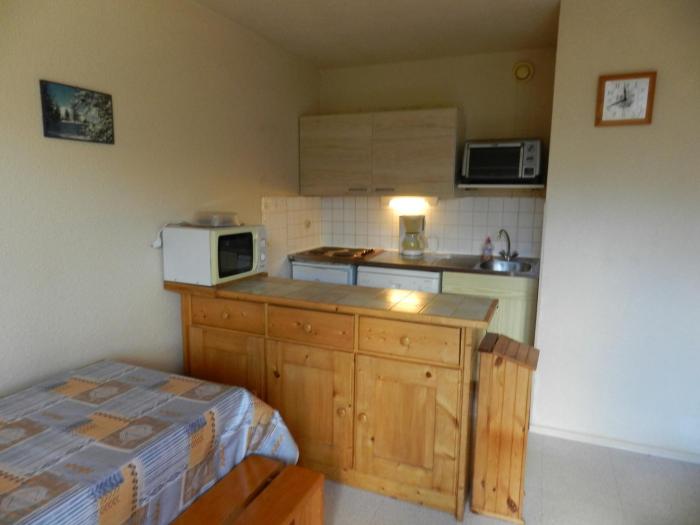 Appartement cosy au pied des pistes avec balcon, ascenseur, casier à skis et parking gratuit - FR-1-557A-36