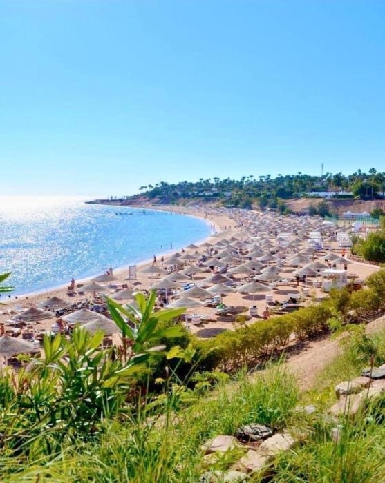 Domina Coral Bay Resort &casino