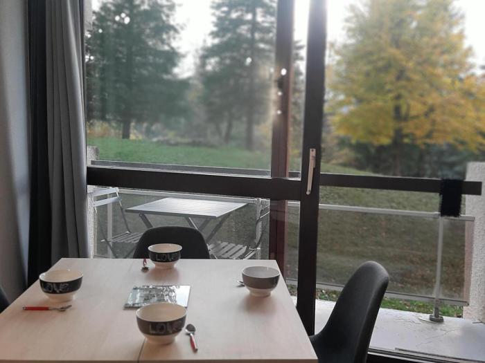 Appartement rénové 20m² au pied des pistes avec balcon et parking gratuit - FR-1-515-110