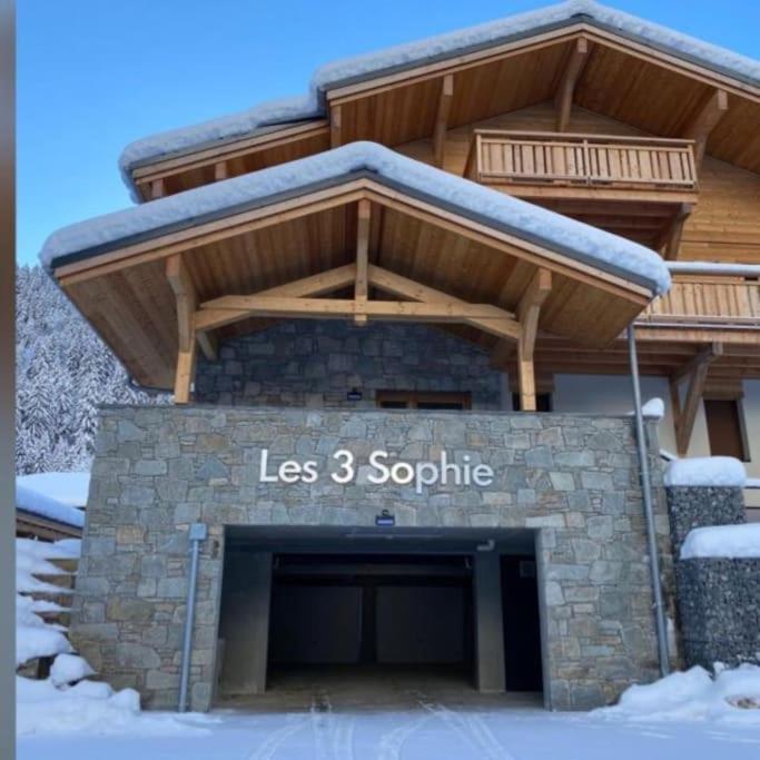 Residence Les 3 Sophie - Ski-In Studio Apartment in Les Prodains