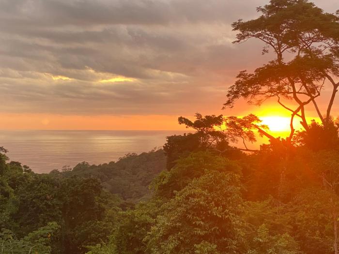 CASA BUHO and COZY JUNGLE CABANA