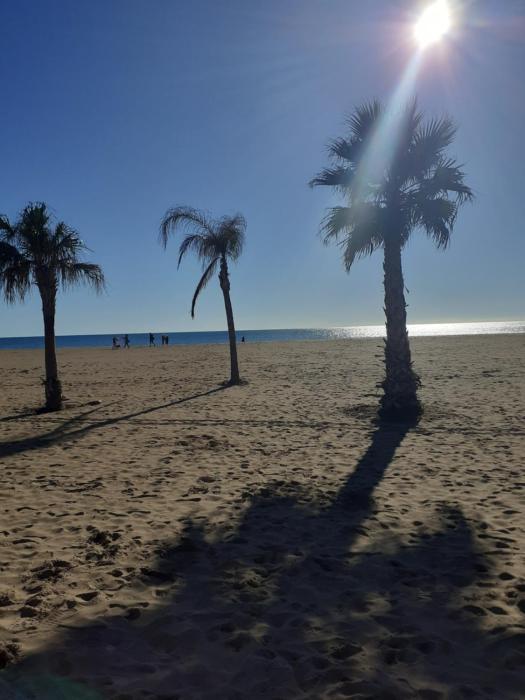 T1 hyper centre de Valras plage