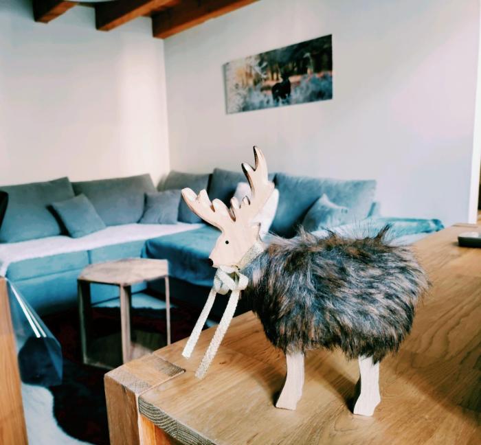 Appartement T3 Duplex Cures ou vacances, En plein Centre-ville Allée dEthigny