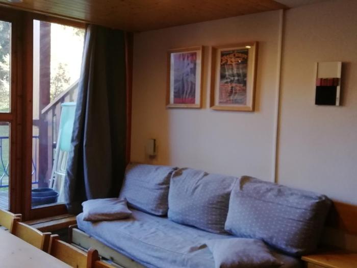 Duplex skis aux pieds 3 pièces, 8 pers, Animaux admis - FR-1-411-59