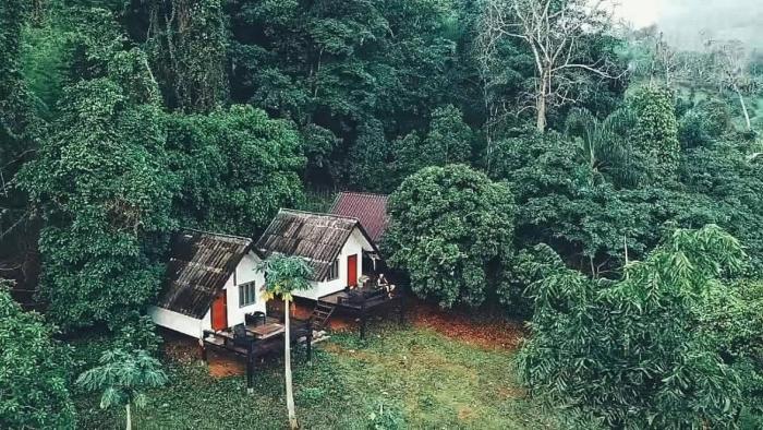 Jungle guest house