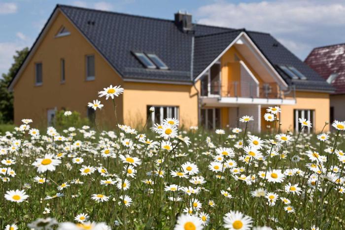 Mirabelle App 01 EG L